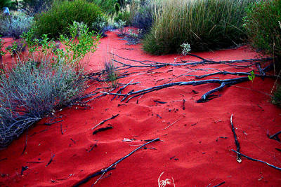  Ayers Rock - Driftwood in Desert .jpg