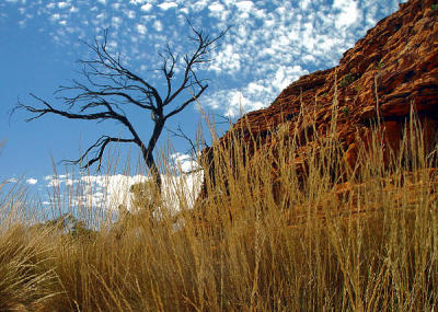 ayers_rock__kata_tjuta__kings_canyon