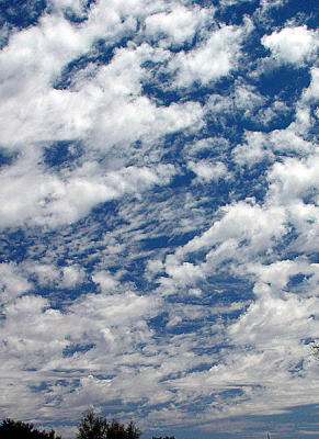 SKY 01.jpg