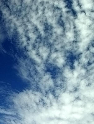 SKY 02.jpg