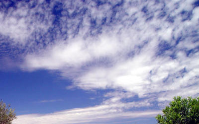 SKY.jpg