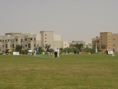 Cricket, at a housing development by the university