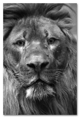 Henry Doorly Zoo - Omaha, NE