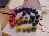 Our Color Wheel