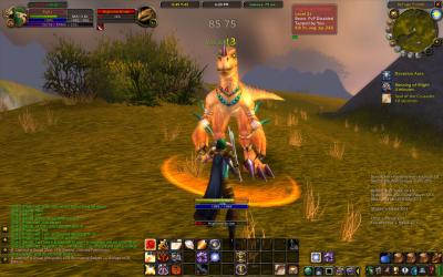 WoWScrnShot_032605_182150.jpg