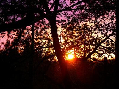 SUN!!!!! (Mar 23rd)