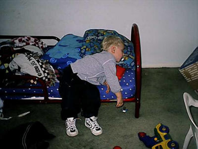 shane crashed -2.jpg