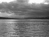 Lake Zurich B&W.jpg