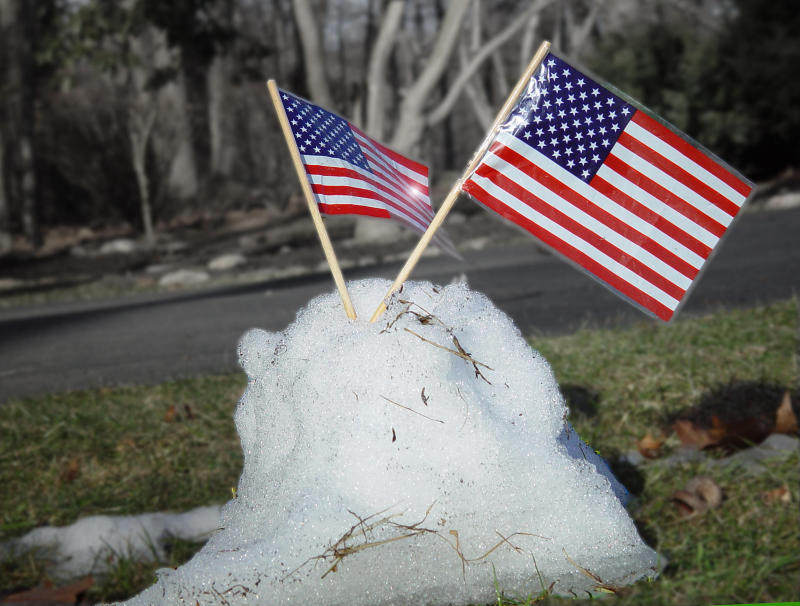 patriotisms last stand by Rich F.