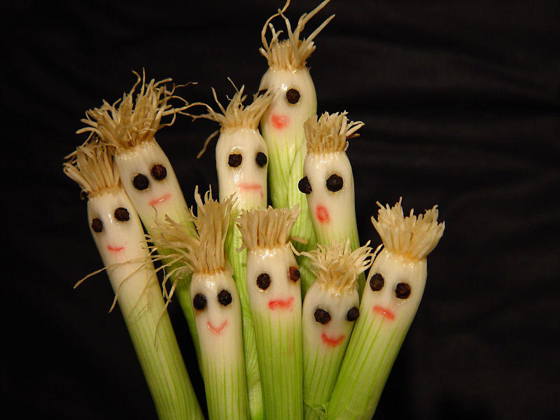 Silly Scallions