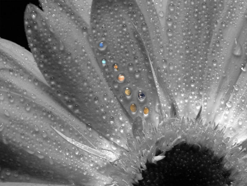 <b>8th Place (tie)</b><br>Solarflower II