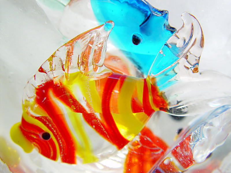 <B>Glass Fins</B><BR><FONT SIZE=1>by SFishy</FONT><BR>