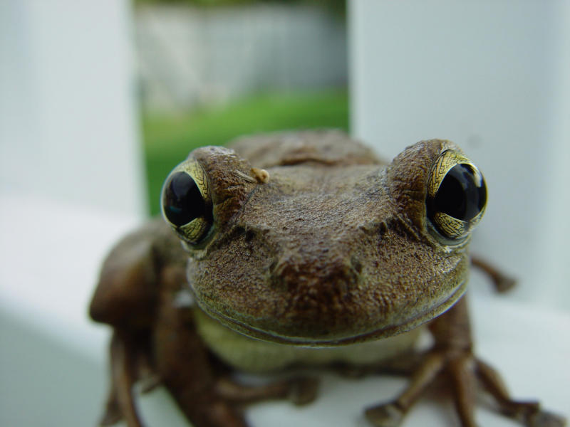 Smile !<br><b>r00t</b>