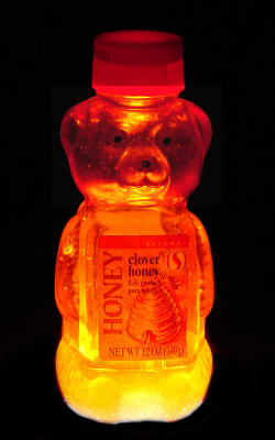 Glowing Honey Bear