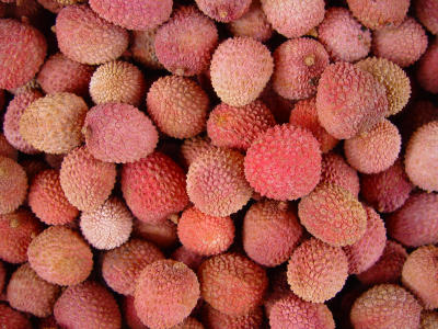 lychees by Alfred