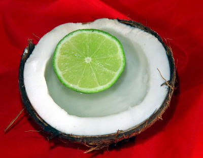 You Put The Lime In The Coconut (redo)