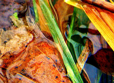 Winter Blades photographed by Shutter