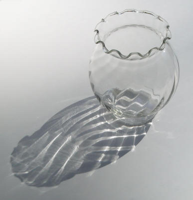 Sunlit Vase
