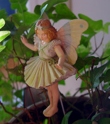 Plant Fairy