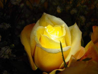 Point of Light