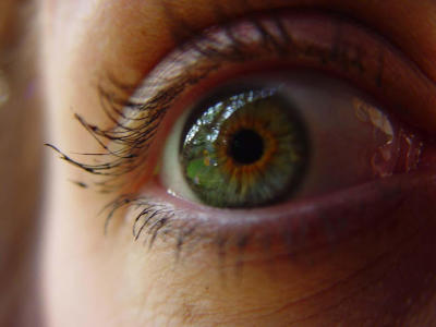 Window Into the Soul r00t