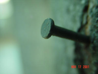 Nail -- samroze