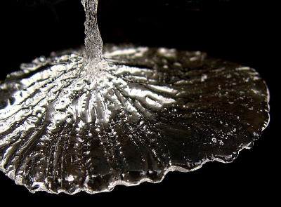 Fragile photographed by Shutter