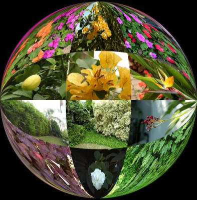 My Garden2 by KJ