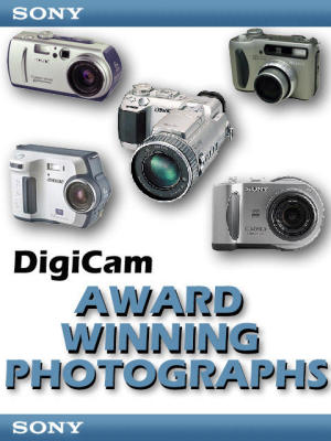 Award Winning Photographs
