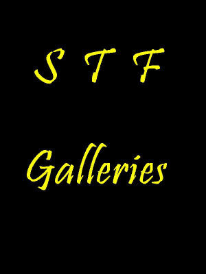 STF Galleries