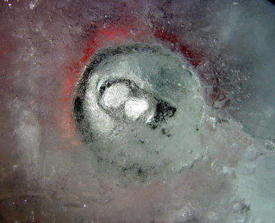  Prehistoric Coke by PT Kitty 