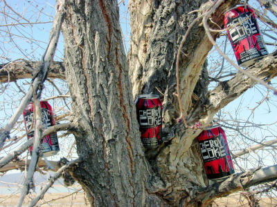 In Pursuit of the Wild CocaCola V - Tree Dwelling Cherry Coke