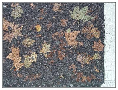 Autumn Roadby Jon MoldF505V