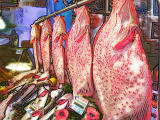 Fish Market Colors