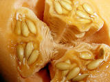 <b>Cantelope Closeup</b><br><i>by Clifton Bazar<br>(Klyphton)</i>