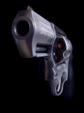 <h3/>WINNER</h3>Gun <BR>by Bill R
