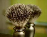 Potted Bristles<BR><FONT SIZE=1>Loren Charif</FONT><BR>