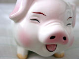 PiggyWiggy