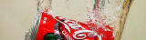 <p align=right><b>Swooosh</b><br><i><font size=1> photographed by </font >ZipperZ</i></font></p>