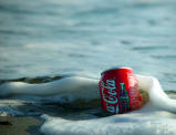 Catch the Wave