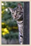 <b>6th</b><br>Ready....... by Roberta