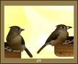 joy  by Ura SAMONOV (2003)*