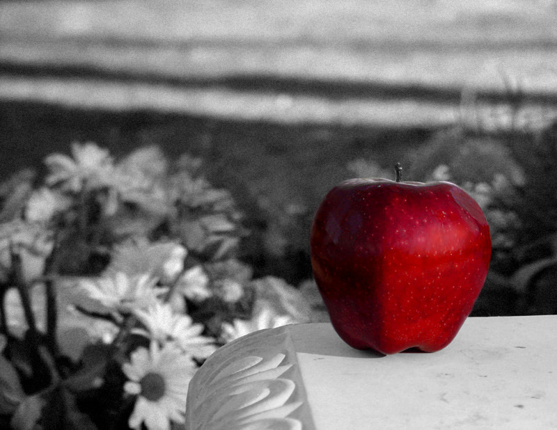 <B>One Sad Apple</B><BR><FONT SIZE=1>by SFishy</FONT><BR>
