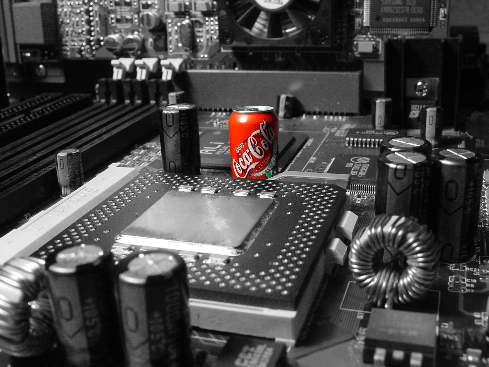 Coke Inside  (by hud)