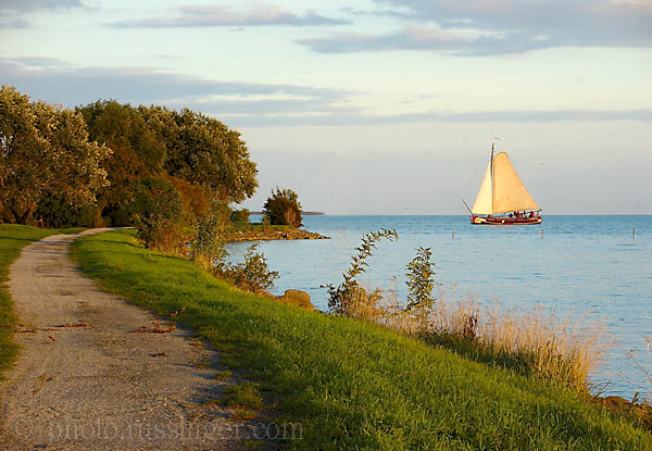 <b>Way to Home*</b><br><font size=-1>1 of 2<br>by Alex Nek