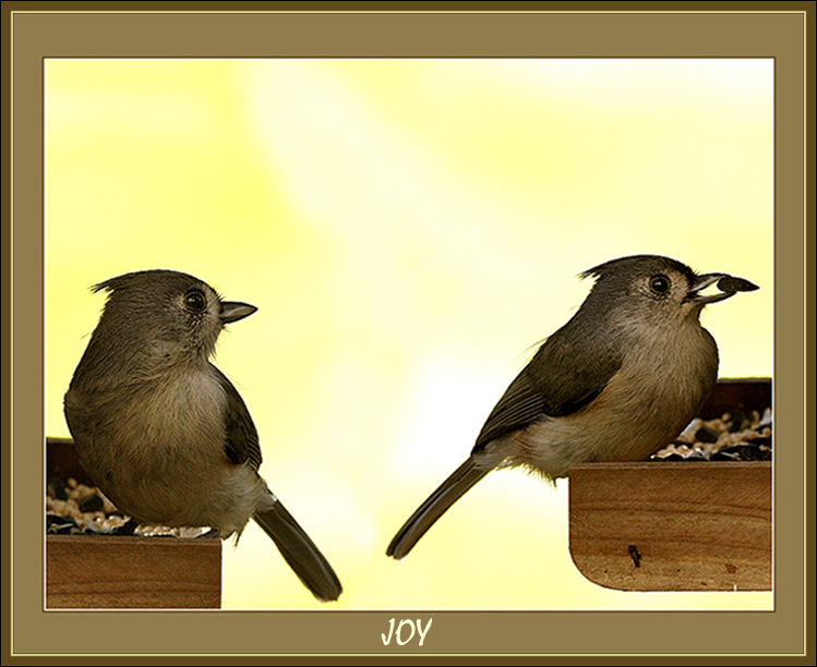 joy  by Ura SAMONOV (2003)*