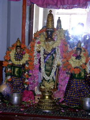 Parthasarathi8