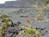 crater floor