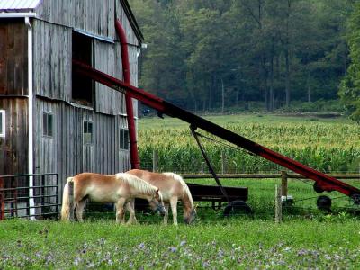 Amish Communities in Pennsylvania