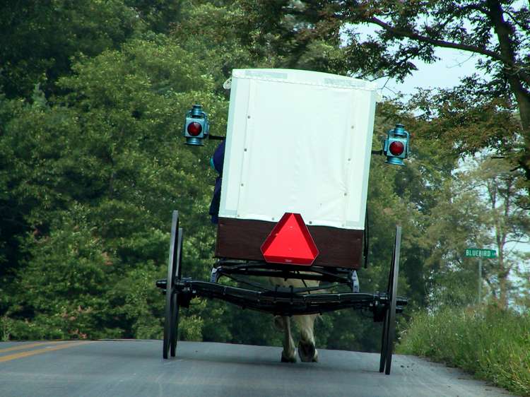 Moving at a more leisurely pace